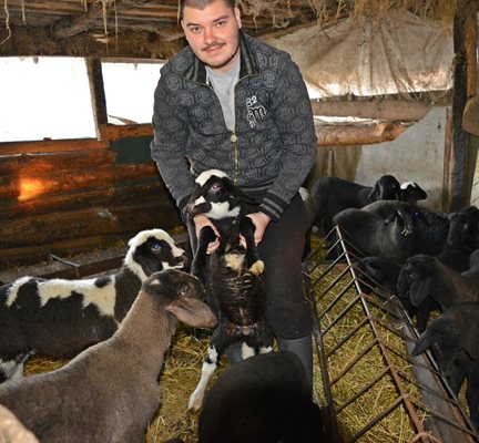 В стадото агънцата не се отделят от майките си до 3 месеца след раждането им

