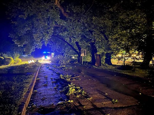 Ураган нанесе сериозни щети в Сандански. СНИМКИ: Община Сандански и Фейсбук