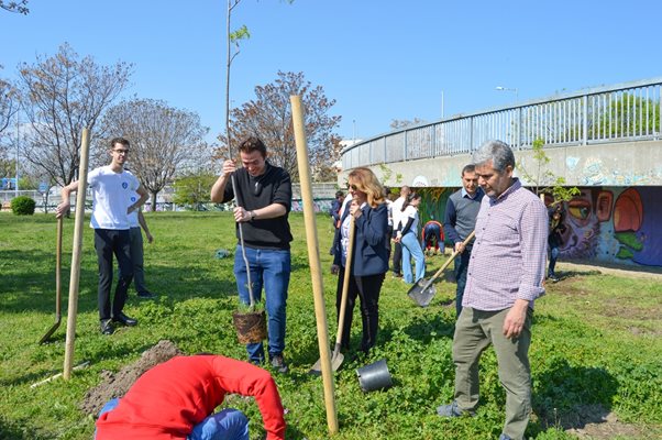 С новите дървета районът ще стане още по-красив.