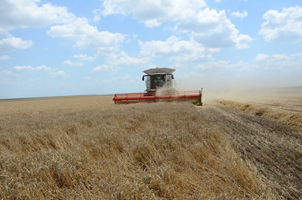 ЕК няма да удължи ограниченията за вноса на зърно от Украйна