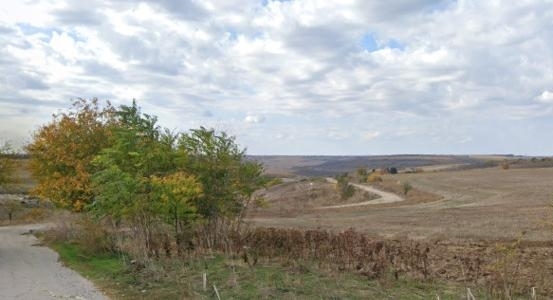 Следово куче и ловна дружинка намериха З деца, изгубили се в гората край село Безмер