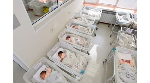 Общо за първите три месеца на годината са се родили близо 13 хиляди бебета, като традиционно най-висока раждаемост има в столицата – 3 497. Снимка Архив