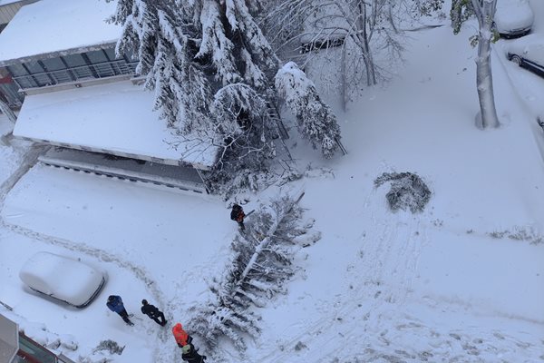 Зима в Добрич
Снимка: Дияна Райнова