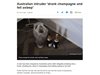 Обирджия препи с шампанско и заспа на местопрестъплението в Австралия