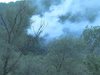 40 горски и огнеборци от две области гасят пожар край с. Бараково