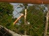 Дърво падна върху работник в София и го уби на място