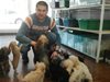 Крадците на скъпите кучета в Бургас готвели да продадат едното с фалшив паспорт