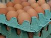 310 540 бр. яйца и 15 317 кг храни са иззети при проверки на БАБХ през ноември