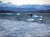 Арктика може да остане без ледена покривка за първи път от 100 000 години
