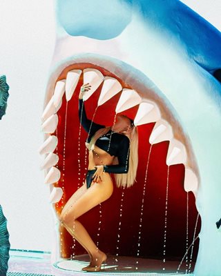 Андреа пипа акулата за зъбите
