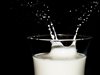 БАБХ стартира електронна регистрация на пробите за мляко

