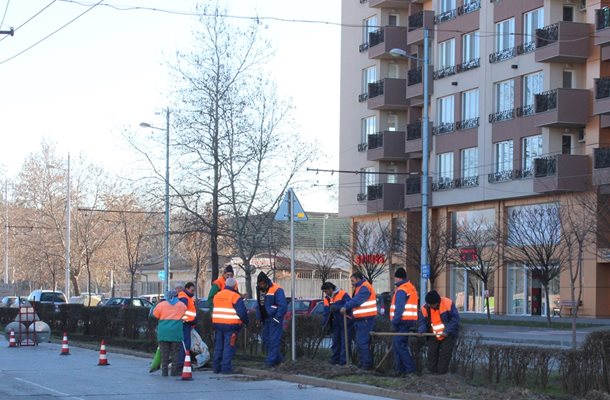 Търсят се работници за поддържане на зелените площи и паркове в Пловдив