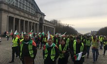 Български превозвачи с жълти жилетки заляха Брюксел (Снимки)