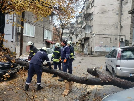 От пожарната реагирали за 10-ина минути.