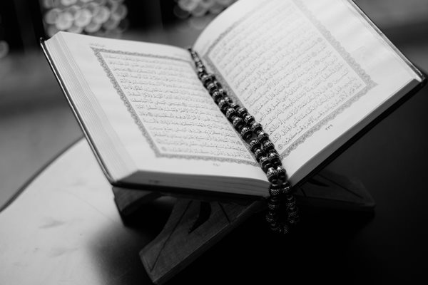 Швеция забрани демонстрация, на която бе предвидено да бъде изгорен Коранът