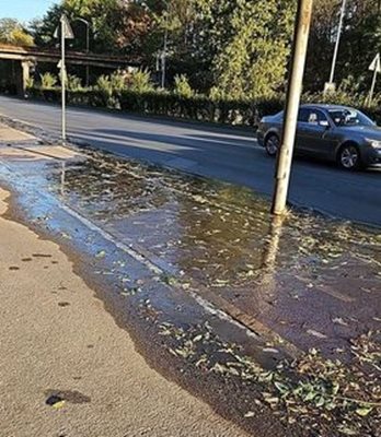 Водата извира директно от тротоара.