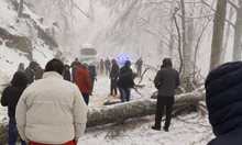 Пуснаха движението през Петрохан, но само за леки автомобили