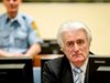 Настояват за доживотен затвор за Радован Караджич, осъден на 40 години затвор за геноцид