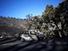 Португалия и Испания овладяха големите горски пожари