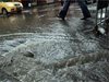 5 сигнала за паднали клони и 6 за завирявания заради обилни валежи в София