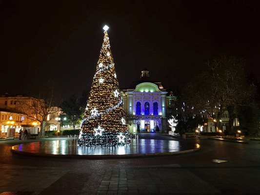 Коледната елха ще бъде запалена на 1 декември в Пловдив.