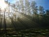 Слънчево време утре и до 14°