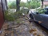 Бурята скърши клони в Пловдив, има затиснати коли (Снимки)