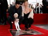 Адам Лавин от "Марун 5" получи звезда на Холивудската алея на славата