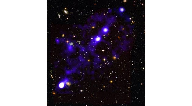 Учени показаха изображение
на космическа мрежа
в дълбините на Вселената СНИМКА: Roland Bacon/David Mary/ESO/NASA