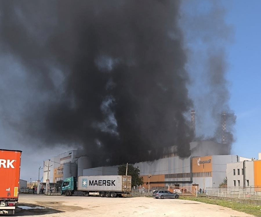 Прокуратурата в Пловдив взе на прицел пожара в Стамболийски