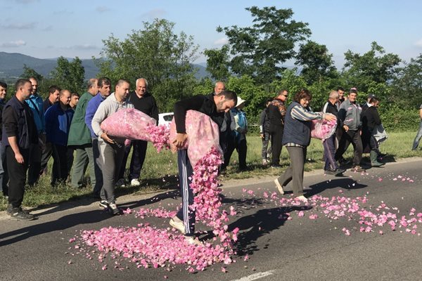 По време на протеста си производителите от Черганово засипаха асфалта на пътя Казанлък - Стара Загора с розов цвят.