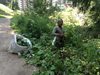 3000 лева на месец изкарват берачи на
билки в Родопите