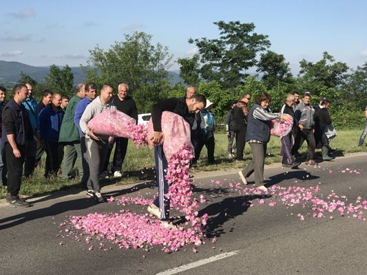 По време на протеста си производителите от Черганово засипаха асфалта на пътя Казанлък - Стара Загора с розов цвят.