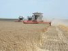 Зърнопроизводителите ще протестират срещу вноса на стоки от Украйна