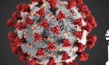 Пет са новите случаи на коронавирус у нас