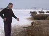 Стадото на овчар от Пловдивско бедства заради липсата на фураж