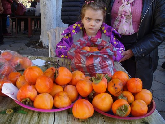 Над 600 семейства в старозагорското село Хрищени отглеждат в дворовете си дръвчета райска ябълка.
Снимка: Ваньо Стоилов