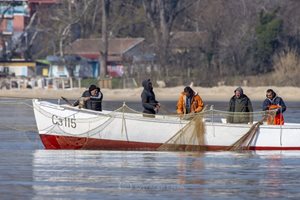 Рибари готвят протест срещу законопроекта за поставяне на ВЕИ в морето