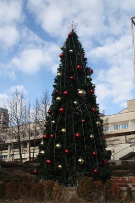 Близо 10 хил. лампички светят на елхата пред общината в Смолян и Родопския драматичен театър “Николай Хайтов”. За първи път е изкуствена и е висока 6 м. От няколко години кметството не изпраща новогодишни картички, а електронни.