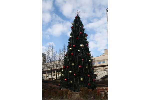 Близо 10 хил. лампички светят на елхата пред общината в Смолян и Родопския драматичен театър “Николай Хайтов”. За първи път е изкуствена и е висока 6 м. От няколко години кметството не изпраща новогодишни картички, а електронни.