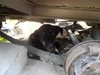 Съседски скандал в Шумен заради ударено от кола улично куче