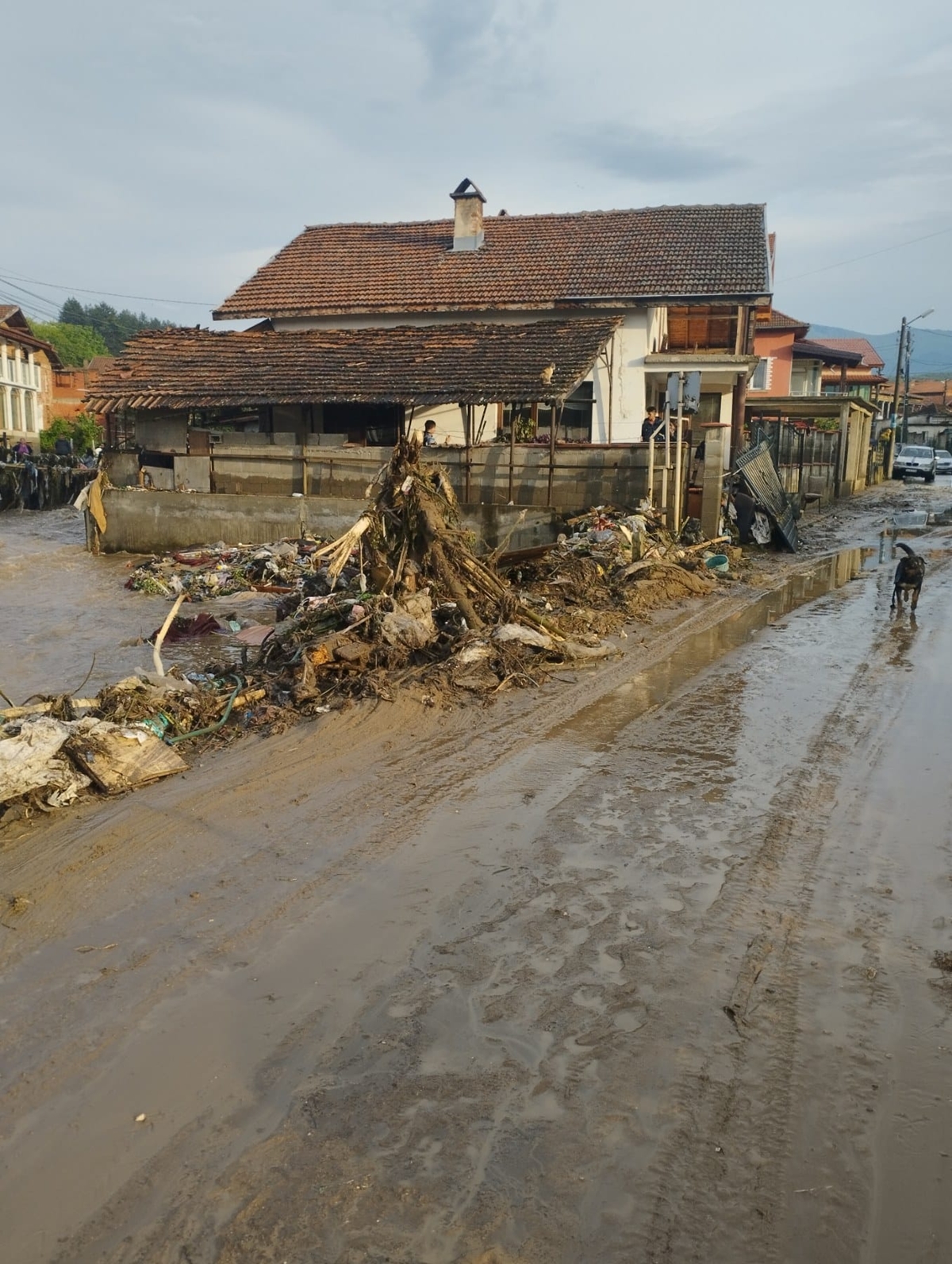 Отнесени автомобили и десетки наводнени къщи след потопа в Берковица
