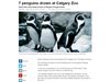 Пингвини се издавиха в канадски зоопарк