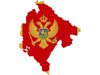 Черна гора обвини 14, от които 2-ма руснаци, за предполагаем опит за преврат