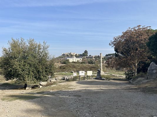 Самотна колона стои да напомня на посетителите, че се намират на мястото на едно от най-големите чудеса на древния свят - Храма на Артемида.