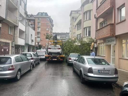 Събореното дърво от паяка е затиснало спрени автомобили. СНИМКА: I see you KAT Пловдив.