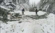 80 см сняг - община Рудозем обяви бедствено положение