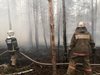 Пожар край Чернобил, горят около три хектара гори