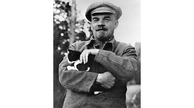 Още в началния стадий на болестта Ленин започнал да крои планове да свали Сталин от поста му.