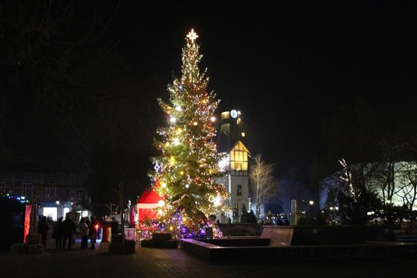 Коледната елха грейна в Пазарджик на 9 декември. Високото 12 м дърво е подарък от горското стопанство в Белово. То е поставено на пл. “Константин Величков” пред театъра в центъра на Пазарджик. Около елхата има коледен базар.
